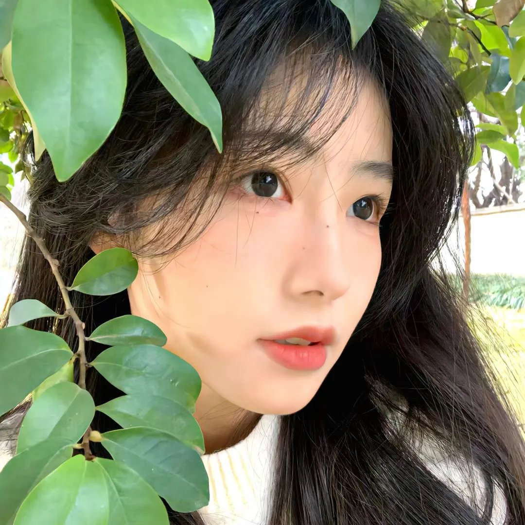 今天开始闪耀登场