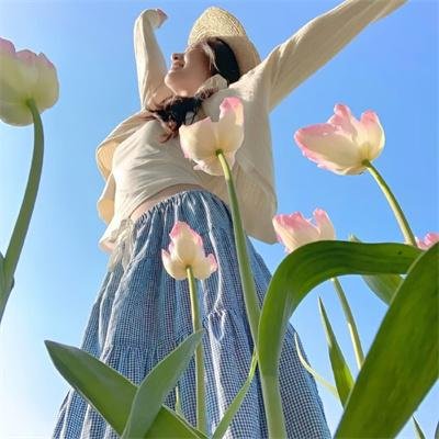 硅谷第四季
