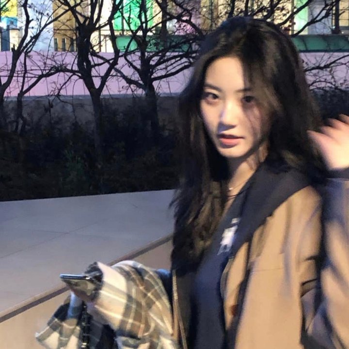 我的女友们
